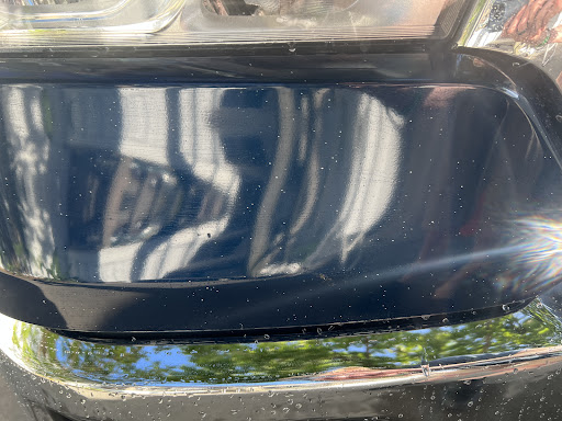 Green Leaf Detailing - Visual