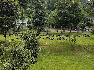 Photos of The National Military Academy of Indonesia - Akademi Militer