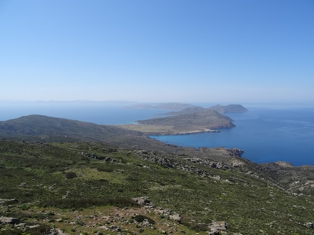 Asinara