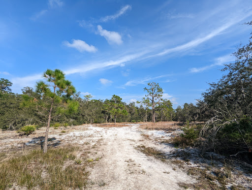 Lakeland Highlands Scrub - Thumbnail