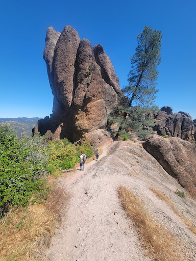 Pinnacles Visitor Center Logo