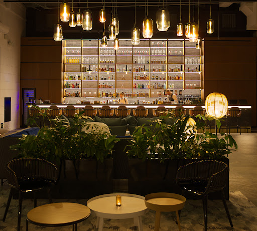 Patio & Tulipe - Cocktail Bar & Restaurant