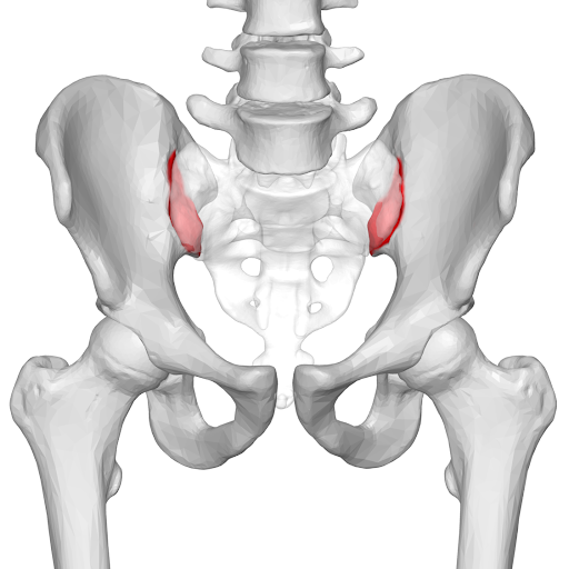 Delaware Valley Pain & Spine Institute - Thumbnail