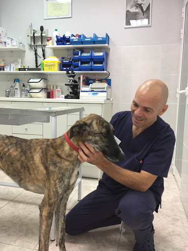 Clínica Veterinaria Tres Olivos