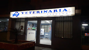 VETERINARIA PACOCHA 3