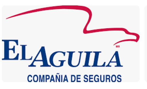 Seguros A&A