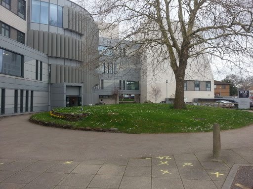 RILD Building - Visual