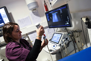 Photo n°17 de Clinique Vétérinaire Argos Anglet Mercure à Anglet (Vétérinaire)