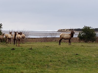 North Gateway Park