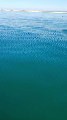 Avaliações doEstrela da Ria Formosa em Faro - Agência de viagens