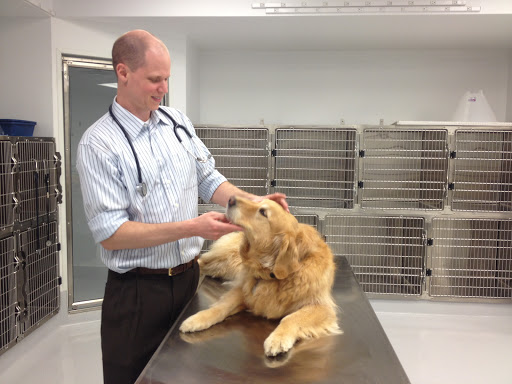 Spalding Animal Hospital