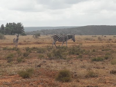 Photos of Riverdene Family Lodge