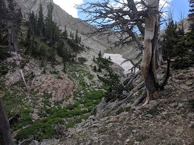 Fairy Lake Campground