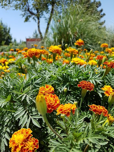 Photos of Fajr Park