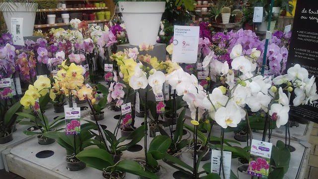 Botanic® Pontault-Combault