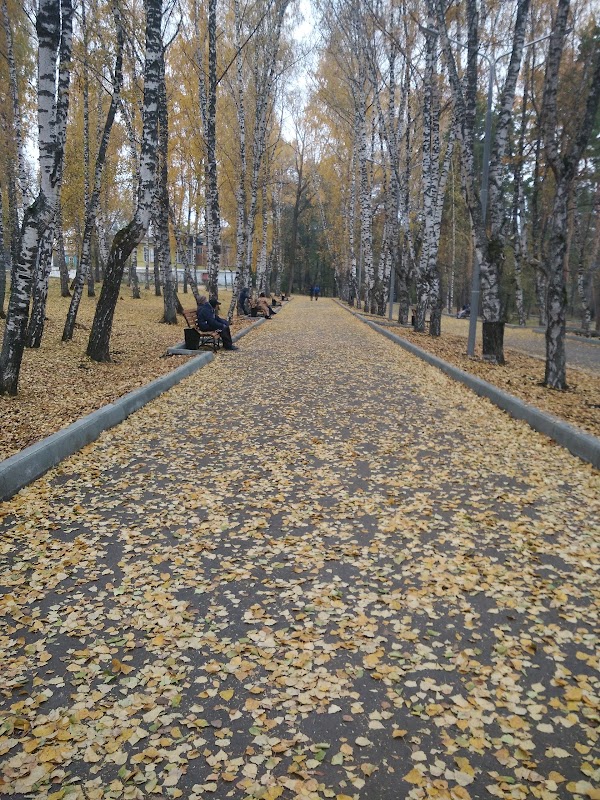 Белорецк парк шагни