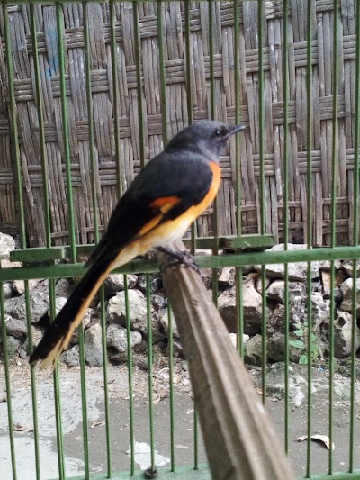 Photos of Taman bunga beron kidul