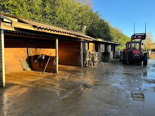 Photo n°25 de Centre équestre Ryan’s Farm - Western & Classique à Ury (Centre équestre)
