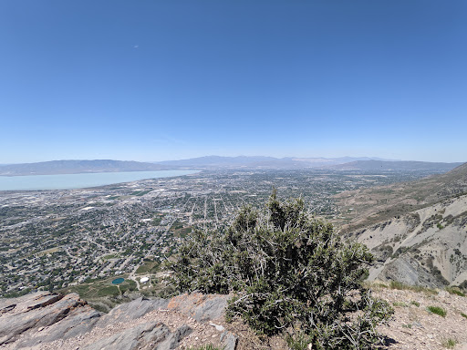 Brush Mountain - Visual
