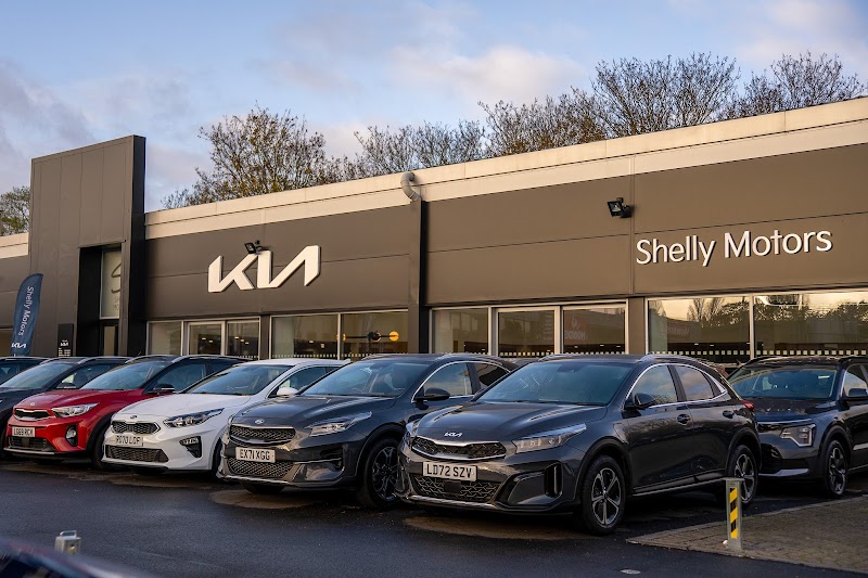 Shelly Motors - Epsom (Kia Dealer) photo 3