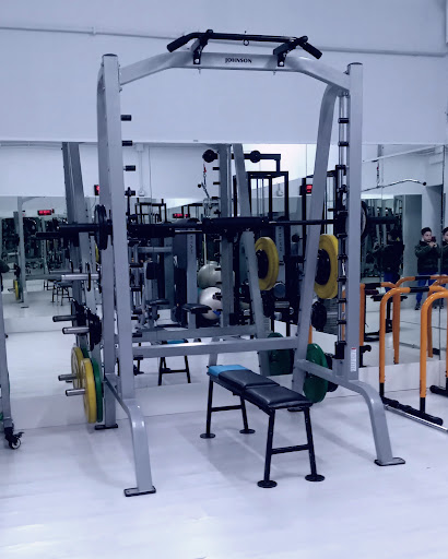 Studio personal IRON muscle Gallery - Italy