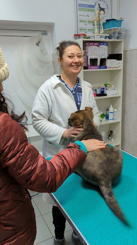 Opinii despre ACT MED VET în București - Veterinar