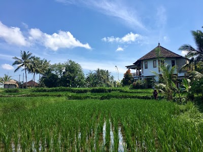 Photos of Ubud Yoga House