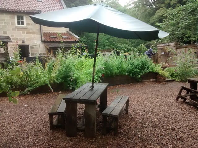 Place around image