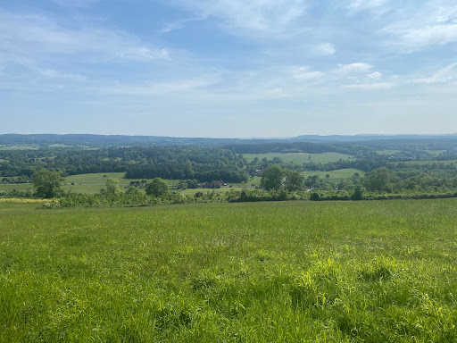 Shere viewpoint - Visual