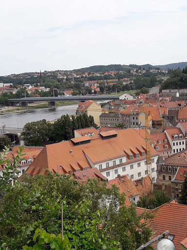 Cölln - Visual
