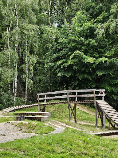 Start Wildhog Trail (Flowtrail Stromberg) - Thumbnail