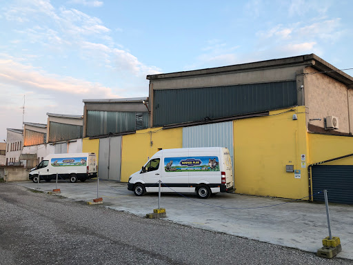Araldi Pet Shop - Visual