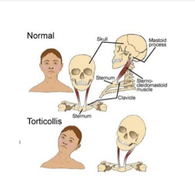 studio di fisioterapia dott.ssa Tropea Maria Grazia