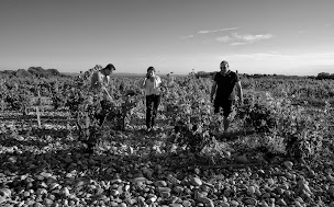 Photo n°4 de Domaine Des 3 Cellier à Châteauneuf-du-Pape (Vignoble)