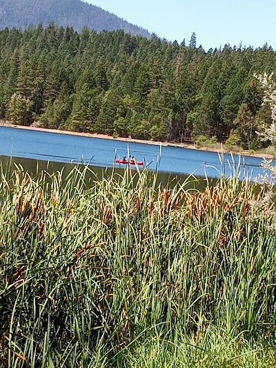 Lake Selmac Park