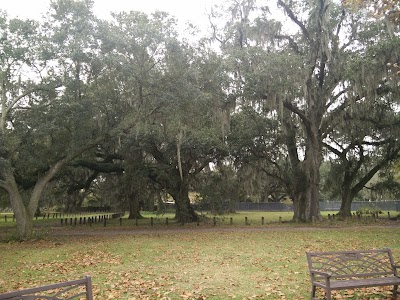 Labyrinth in Audubon Park