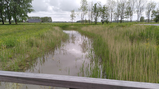 Sport- en wandelpark Garrelsweer - Thumbnail