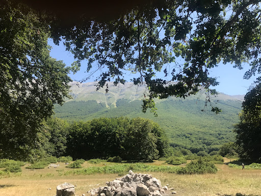 Passo San Leonardo Gallery - Italy