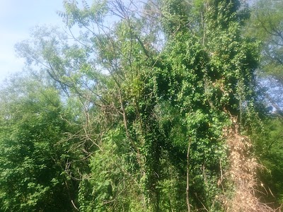 Photos of Плаковски манастир &bdquo;Св. Пророк Илия&ldquo;