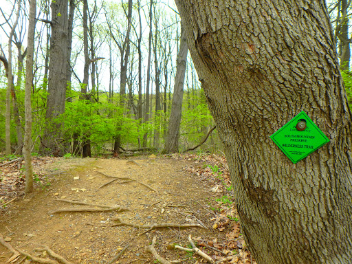 Ithaca Park & Wilderness Trail