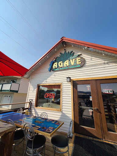 Agave - Visual