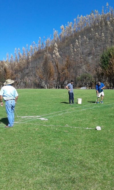 Photos of Estadio Las Garzas
