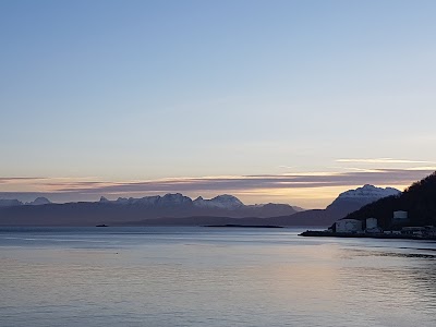 Photos of Avis Bilutleie Harstad