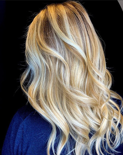 Salon 488
