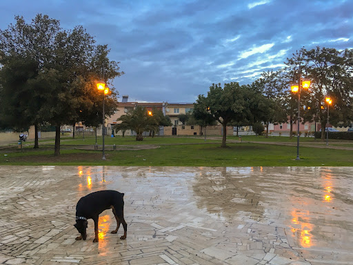Piazza della musica - Thumbnail