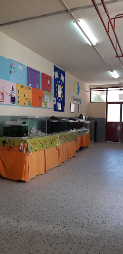 CEIP ventura rodriguez - Thumbnail