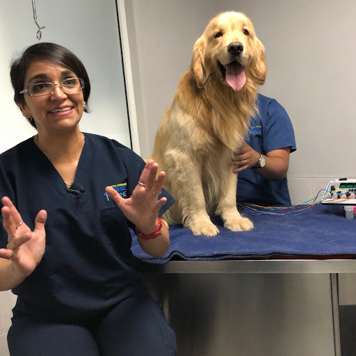 Hospital Veterinario Animal Home Coapa 24 horas