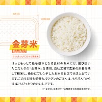 ほっともっと 新大江店