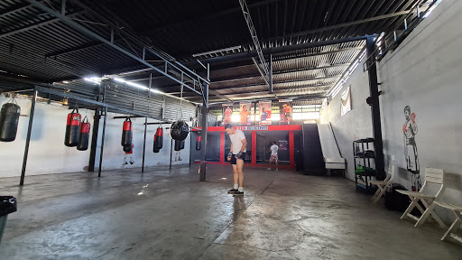 Big Boxing - Visual