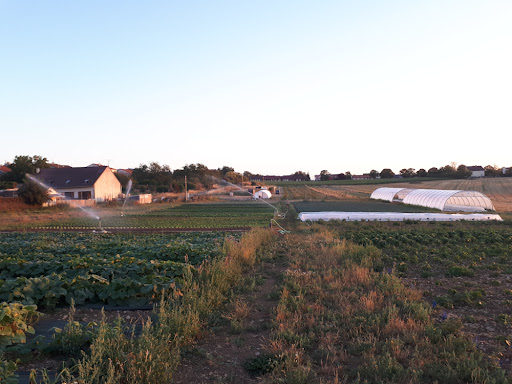 Photo 2 - Jardin de Mottières